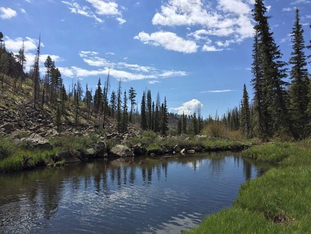 Pinetop Studio Suites المظهر الخارجي الصورة